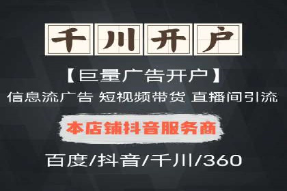 谷歌竞价广告与SEO结合的营销案例解析